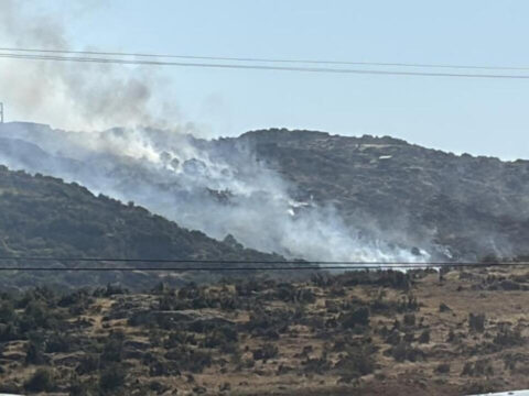 Haber gorseli