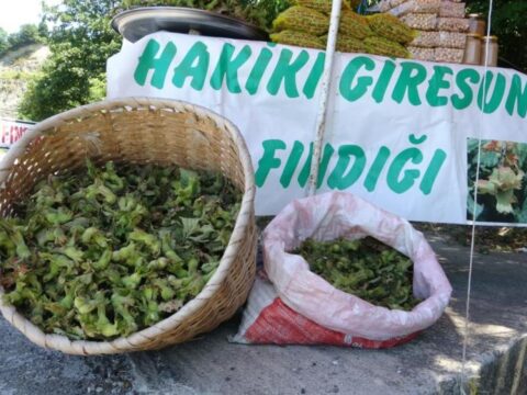 Yeni sezonun ilk findigi kilosu 200 tl S6jcNYYT