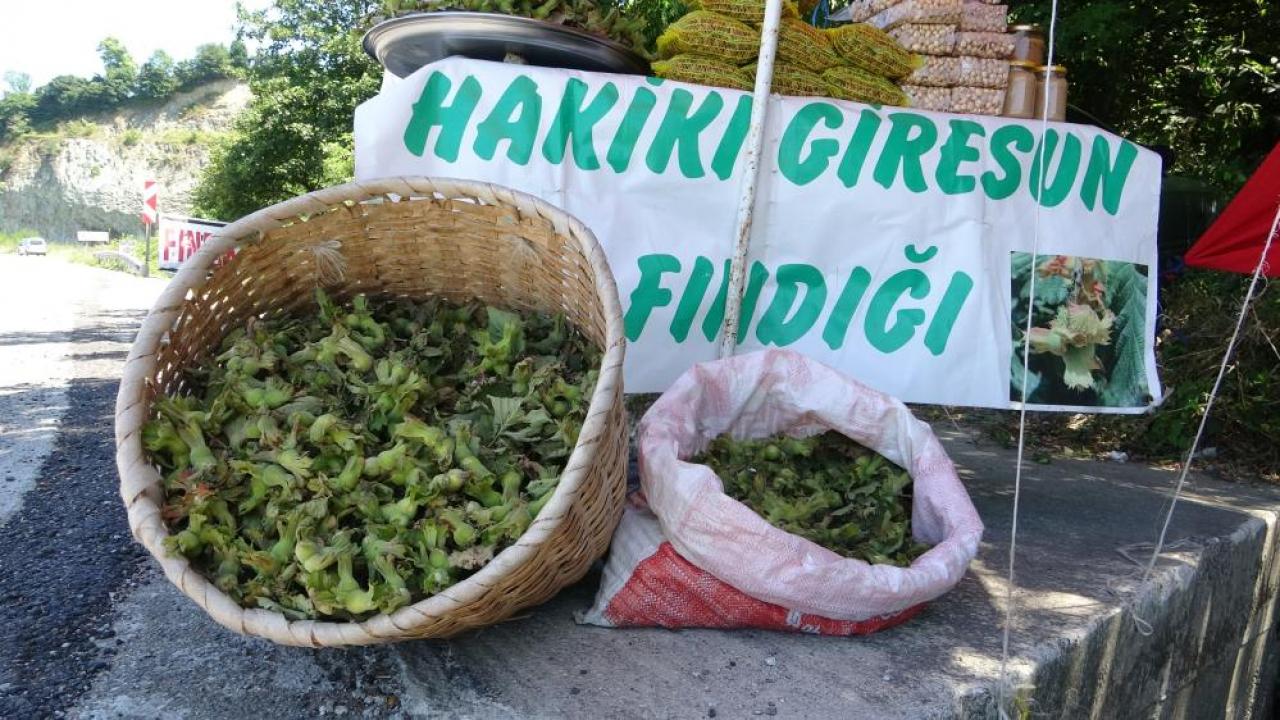 Yeni sezonun ilk findigi kilosu 200 tl S6jcNYYT